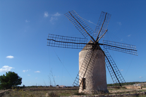 IBIZA excursión de un día a Formetera en Bicicleta