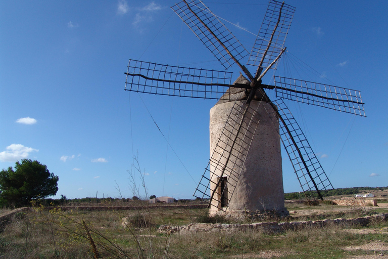 IBIZA excursión de un día a Formetera en Bicicleta