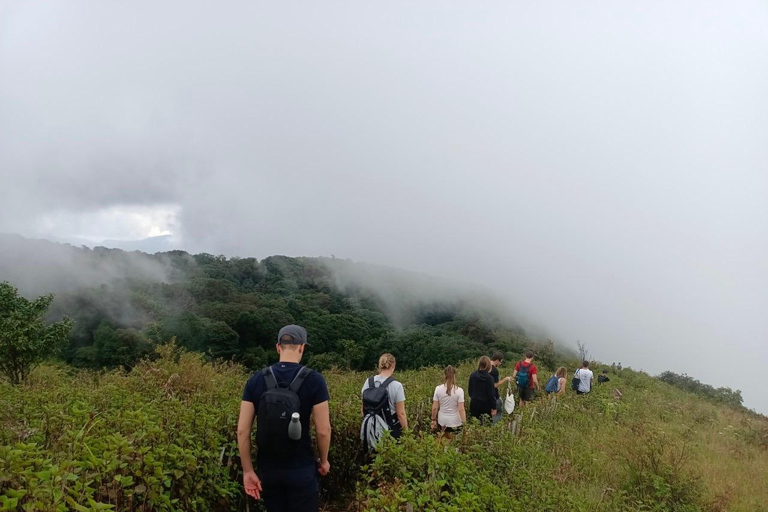 Chiang Mai: Excursión de un día al Parque Doi Inthanon con caminata por Kew Mae PanLa Visita Regular incluye Comida y Entradas