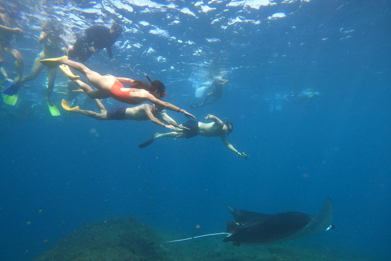 From Bali: Explore West Nusa Penida with Snorkeling From Bali: Nusa Penida West Highlights with Snorkeling