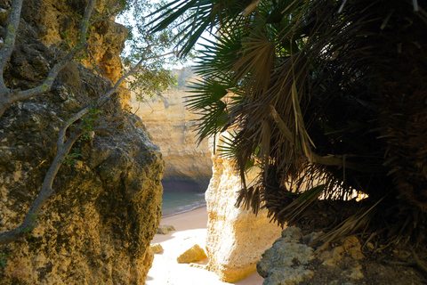 Albufeira Coastline Hiking - Small Group Albufeira Coastline Hiking Small Group