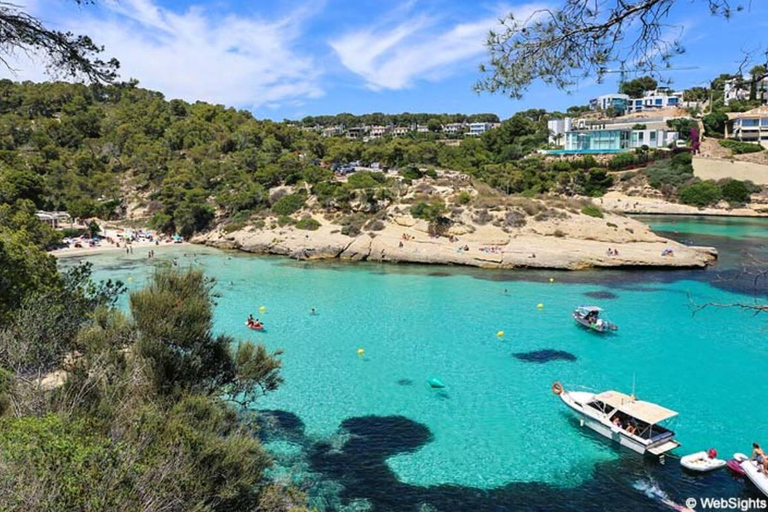 Mallorca Experience: Playa Portal Vells / Playa del MagoTour Playa Portal Vells, Cueva Portal Vells y Playa del Mago