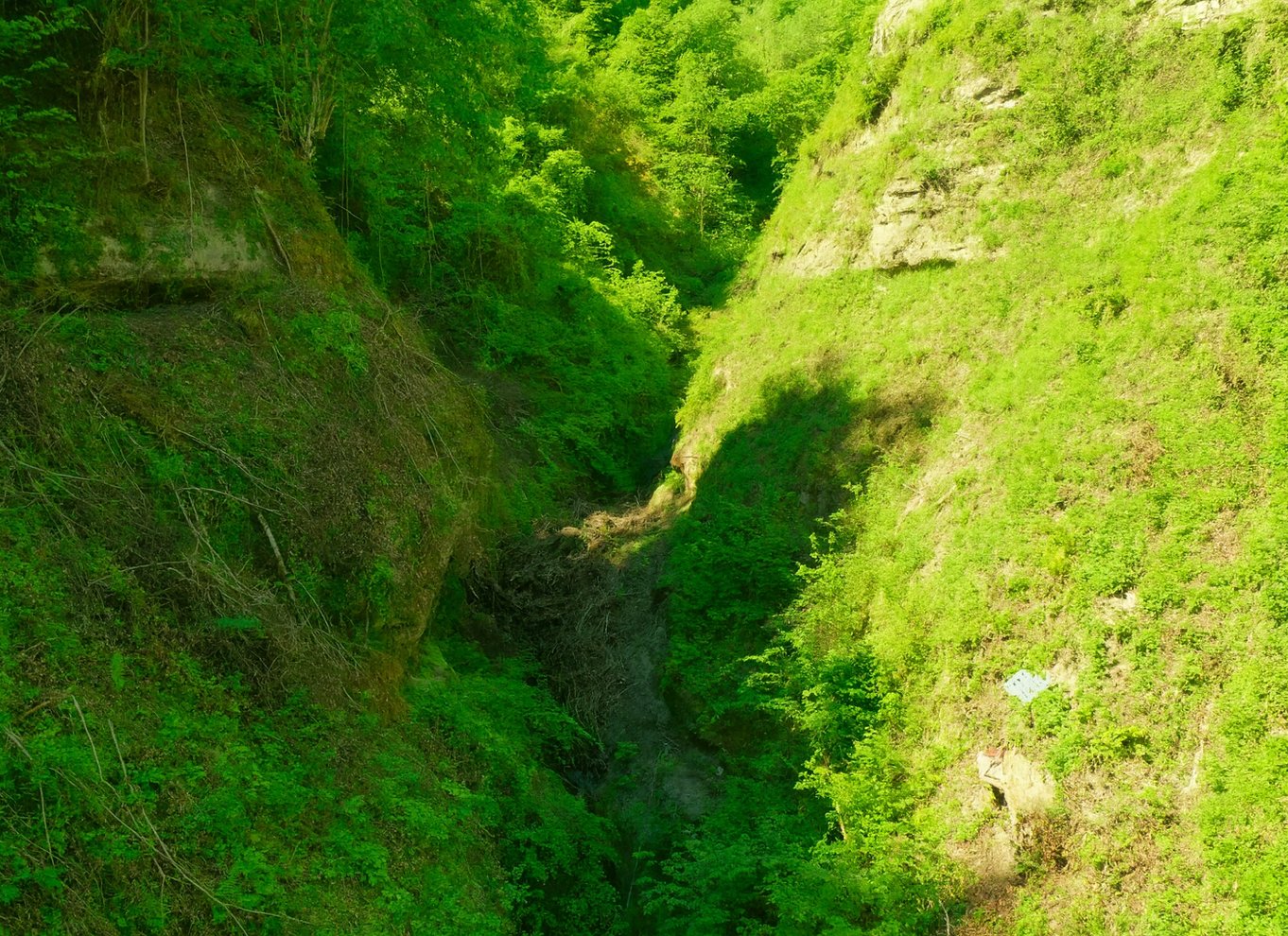 Bodensøen: Tag en sejltur til Marienschlucht fra Ludwigshafen