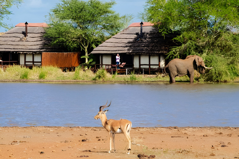 Mid-High end 5 dagars all-inclusive Kruger &amp; Pano Tour från JHB