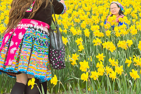 From Seattle: Tour of Skagit Valley Tulip Festival