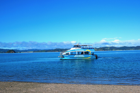 Paihia/Russell: Hole in the Rock Cruise mit 2 InselstoppsVon Paihia aus: Hole in the Rock Cruise & 2 Insel Zwischenstopps