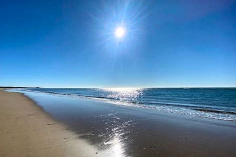 Huelva-Punta Umbria Bike Sightseeing Tour and Cruise Tour Huelva-Punta Umbria Sightseeing Tour and Boat Ride