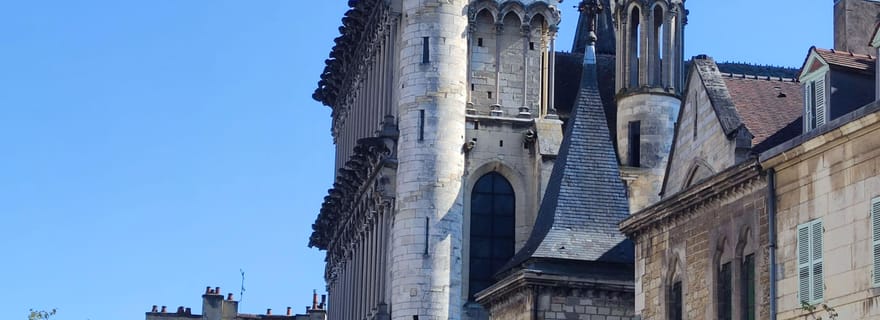 Dijon & Food : Visites guidées et art de v'ivre