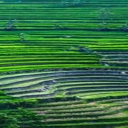 Yogyakarta Selogriyo Trek & Borobudur Drone Adventure