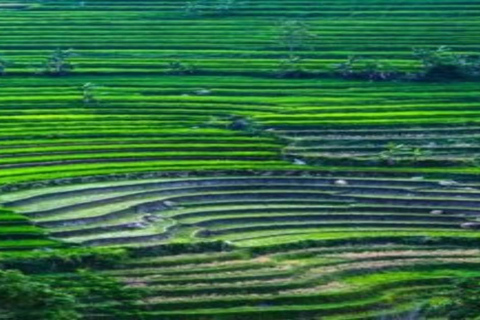 Yogyakarta Selogriyo Trek & Borobudur Drone Adventure