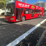 Cairns: Hop-On Hop-Off Bus Tour