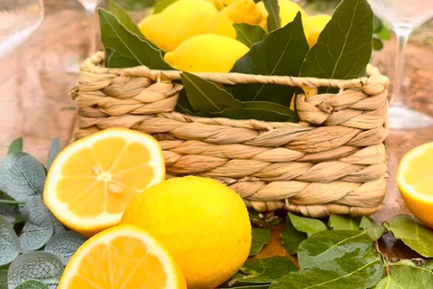 哈尼伊克罗西特野生水果采摘体验哈尼·伊·克罗西特野生水果采摘体验