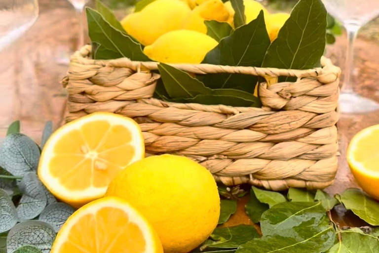 哈尼伊克罗西特野生水果采摘体验哈尼·伊·克罗西特野生水果采摘体验