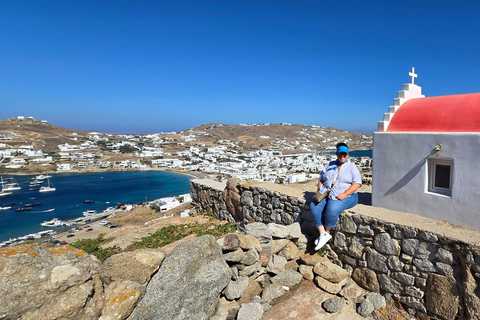 4 horas de tour privado por la isla de Mykonos en minibús de lujo