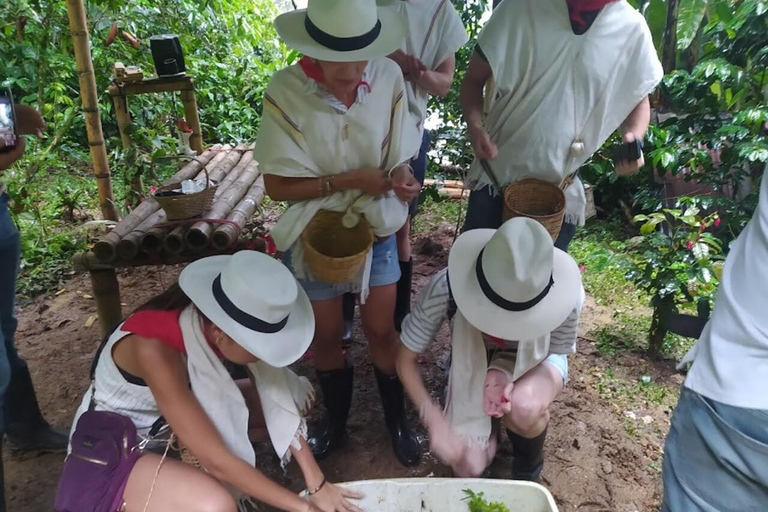 MEDELLIN: SAN SEBASTIAN PALMITAS TOUR