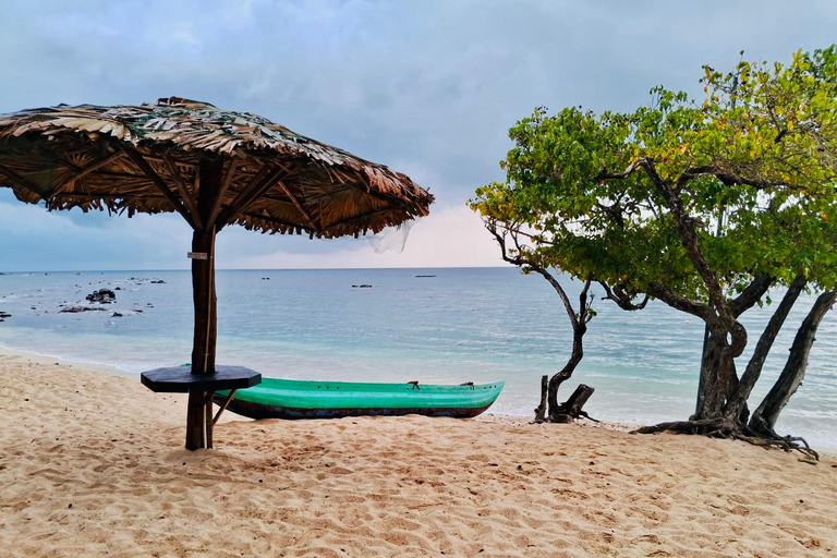 Da Colombo: tour privato all-inclusive di un giorno a Galle e MirissaGalle: tour privato di un giorno lungo la costa meridionale con snorkeling