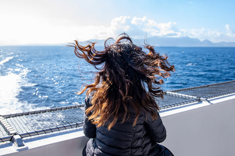 Algeciras: Ferry Journey Between Algeciras and Ceuta Same-day Round-trip From Algeciras to Ceuta (One Way)