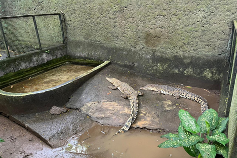Lombok Wildlife Park and Sunset Escape Big Group
