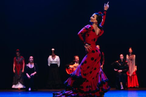 Sevilla: baile flamenco en directo en el teatro