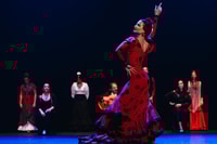 Sevilla, Boleto de baile de flamenco en vivo en el teatro - Housity