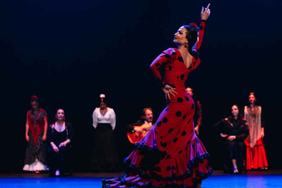 Sevilla: Ticket für Live-Flamenco-Tanzshow im Theater