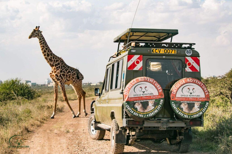 Nairobi National Park Half-Day Game Drive