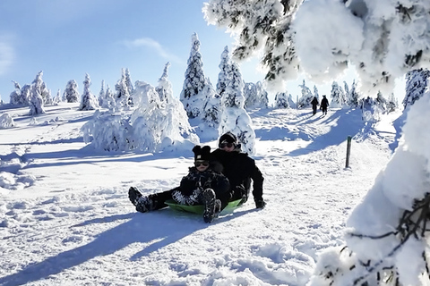 Rovaniemi: Local Guide Riisitunturi National Park Day Trip