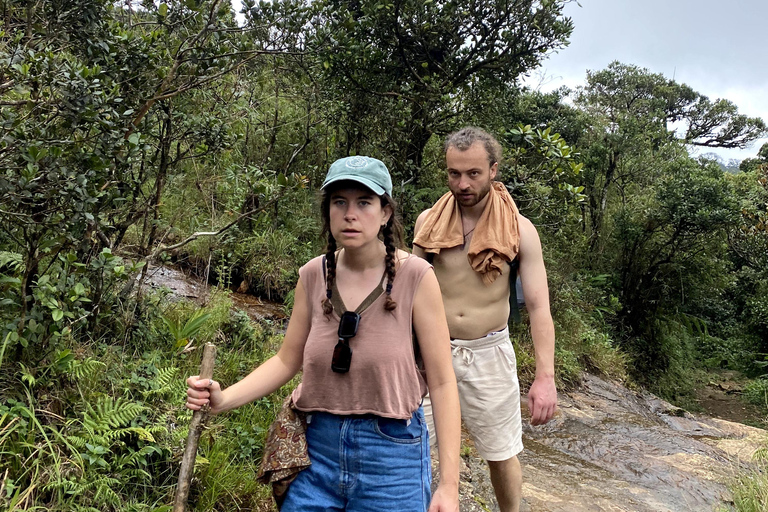 Tedo 7 Waterfalls Peak Adventure – Knuckles Mountain Range
