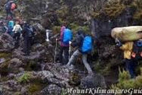 Meilleur circuit d&#039;une journée : 1 jour Kilimanjaro Lemosho Route