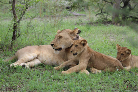 Selous : Un safari hors route d&#039;une journée au départ de Zanzibar