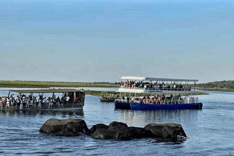Chobe : Sunset Cruise