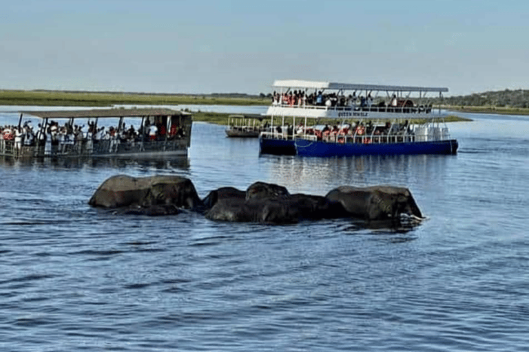 Chobe : Sunset Cruise