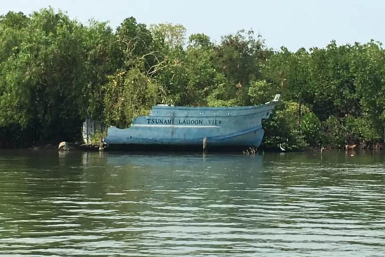Hamilton Canal Boat Sapari & Negombo Mangrove Sightseeing