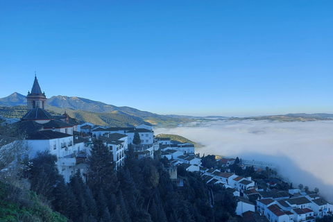 White Villages and Ronda: Day Trip from SevilleMeeting in Torre del Oro