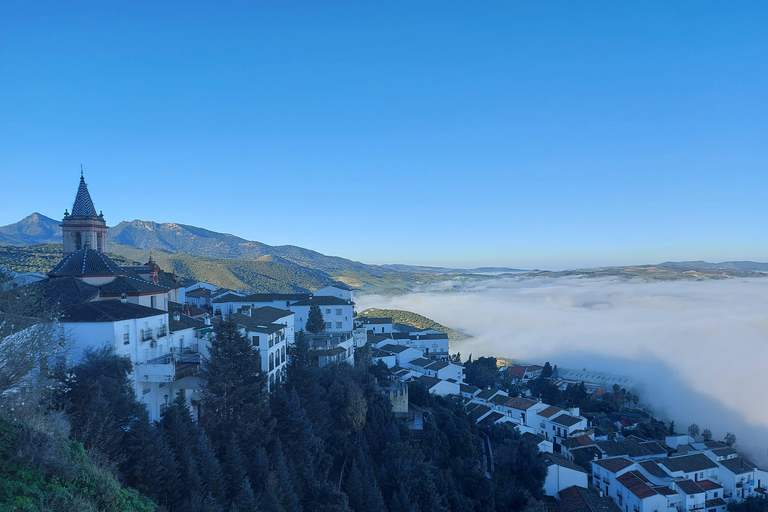 Villages blancs et Ronda : Excursion d&#039;une journée depuis SévilleRéunion à l&#039;Interparking Cano y Cueto