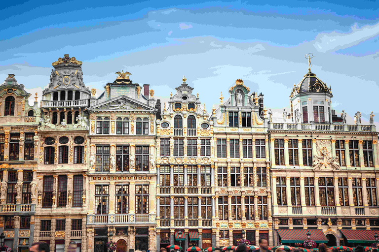 From Brussels: Brussels Tour with Waterloo and Atomium Stop