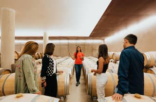 Mailand Tagestouren: Barolo Wine Tour mit einem privaten Fahrer