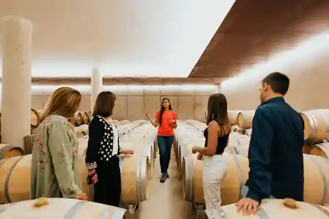 Excursiones de un día a Milán: Tour del Vino de Barolo con Conductor Privado