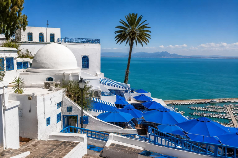 From Hammamet & Sousse: Medina, Carthage & Sidi Bou Said