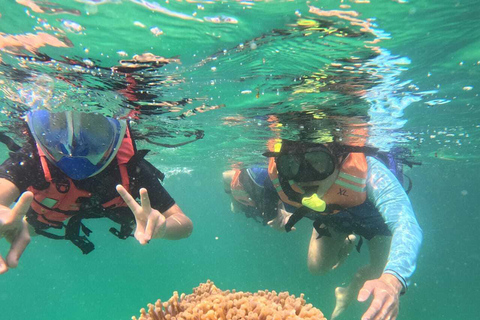 Bintan car charter + Driver Bintan Car Rent