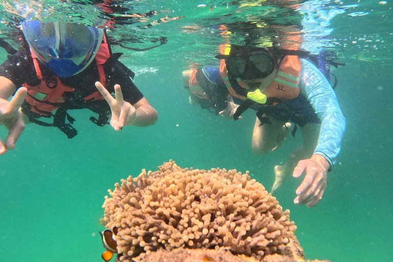 Bintan car charter + Driver Bintan Car Rent