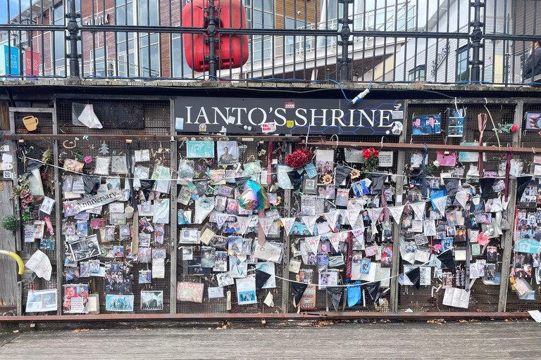 كارديف: جولة سيرا على الأقدام في خليج كارديف مع دكتور هو