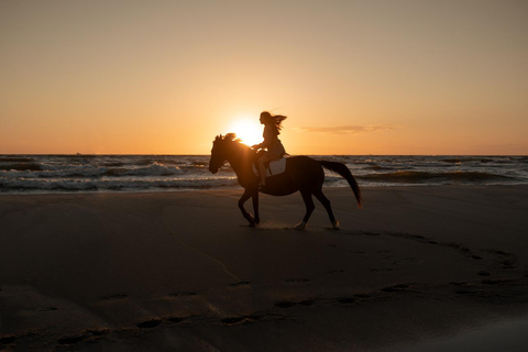 Essaouira: 1.5-Hour Horse Ride & Swim Experience with Photos