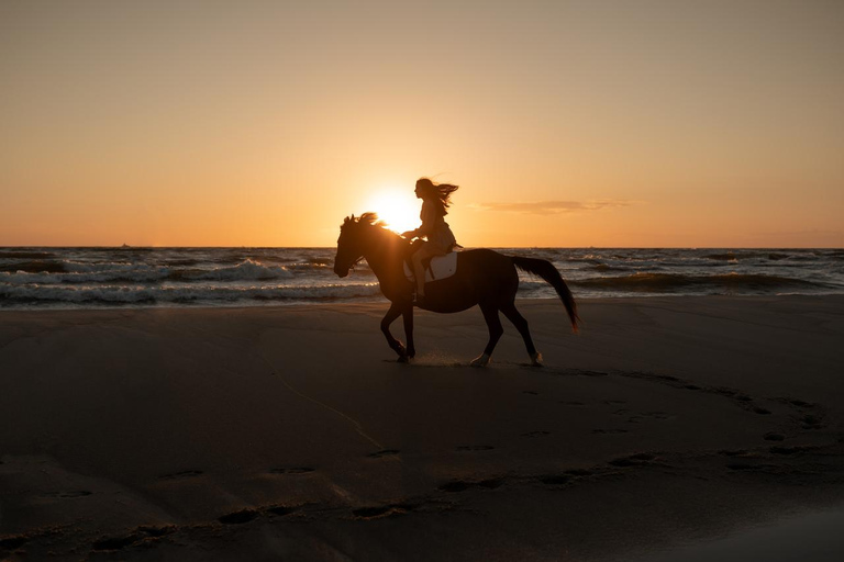 Essaouira: 1.5-Hour Horse Ride & Swim Experience with Photos