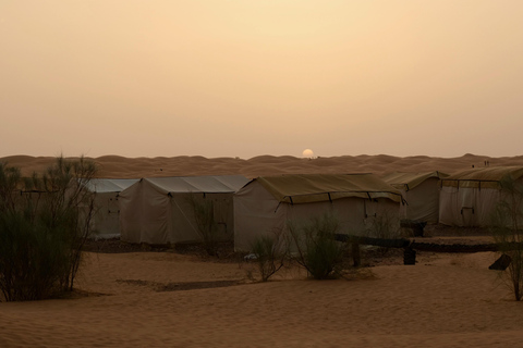 Le Grand Tour de Tunisie : immersion locale entre mer et désert