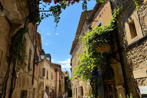 Barcelona: Private Trip, Girona, Medieval Town, Coast & Wine Private Day Trip
