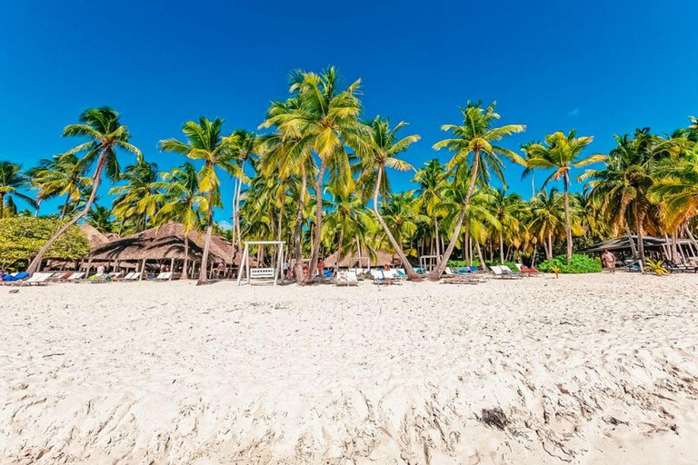 Punta Cana: Katamaranboot zur Insel Saona mit Mittagsbuffet