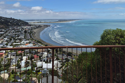 Christchurch Private Scenic Highlights Tour with Local Guide