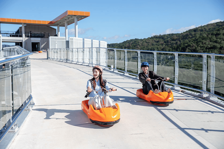 Van Seoul: Alpaca boerderij met railbike/rodelbaanRailbike Groepstour, verzamelen bij Dongdaemun (DDP)