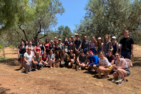 نافبليو: جولة وتذوق زيت الزيتونجولة وتذوق زيت الزيتون